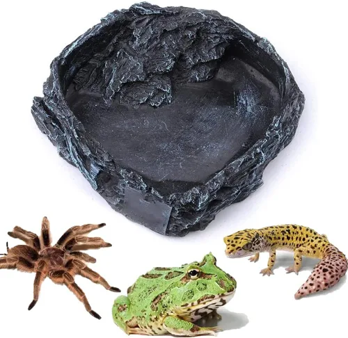 Litewoo Plato de agua para reptiles, cuenco de comida para reptiles, decoración de hábitat de forma natural, adecuado para dragones barbudos