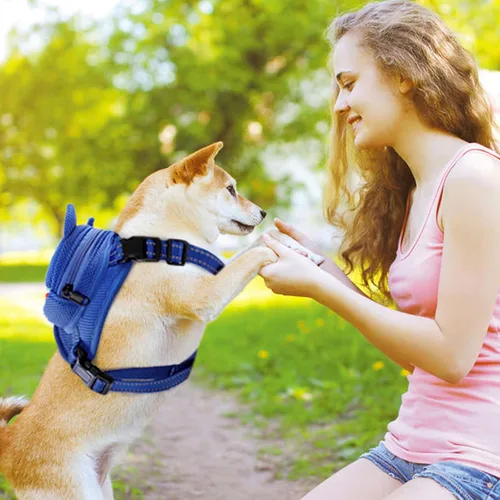 Vista 7 de Arnés para perro con mochila, arnés ajustable para perros pequeños y medianos, mochilas transpirables sin tirones para perros, para viajes Azul
