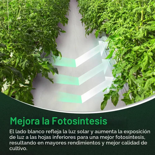 Vista 5 de VIVOSUN rollo de película blanco y negro
