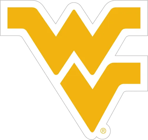 Vista 12 de NCAA, imán con logotipo, 8 pulgadas