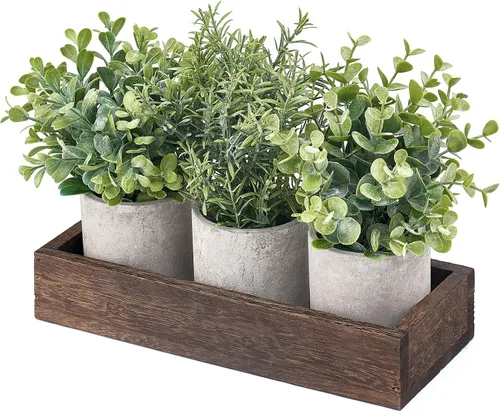 Vista 5 de Dahey - Juego de 3 plantas artificiales en miniatura en maceta de eucalipto con bandeja de madera, centro de mesa, decoración de mesa, macetas