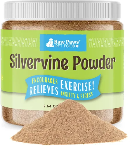 Raw Paws Silvervine en polvo, 2.65 oz, alternativa a hierba gatera - Juguete para gatos Matatabi | 100% Silver Vine Gall Fruit - Indoor Cat