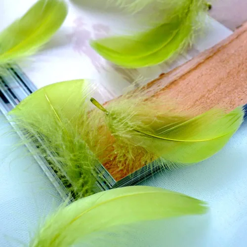 100 plumas de ganso verde militar para manualidades, plumas de ganso de colores a granel de 3 a 5 pulgadas para proyectos de manualidades