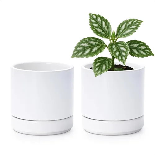 D'vine Dev Paquete de 2 macetas de cerámica con platillos, color blanco Diseño moderno de cilindro, cerámica esmaltada, orificio de drenaje y