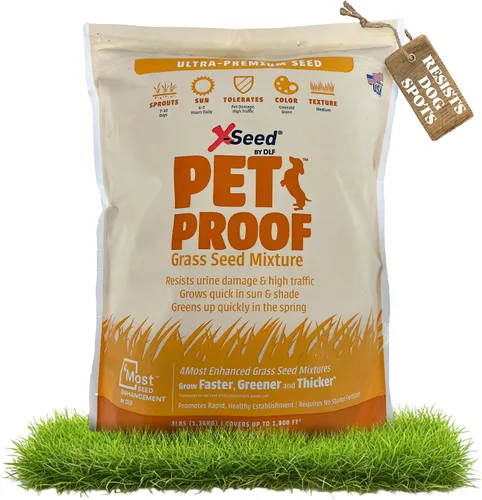 X-Seed Semillas de hierba de festuca a prueba de mascotas, césped denso para sol y sombra, resistente a la orina, hierba verde esmeralda de alto